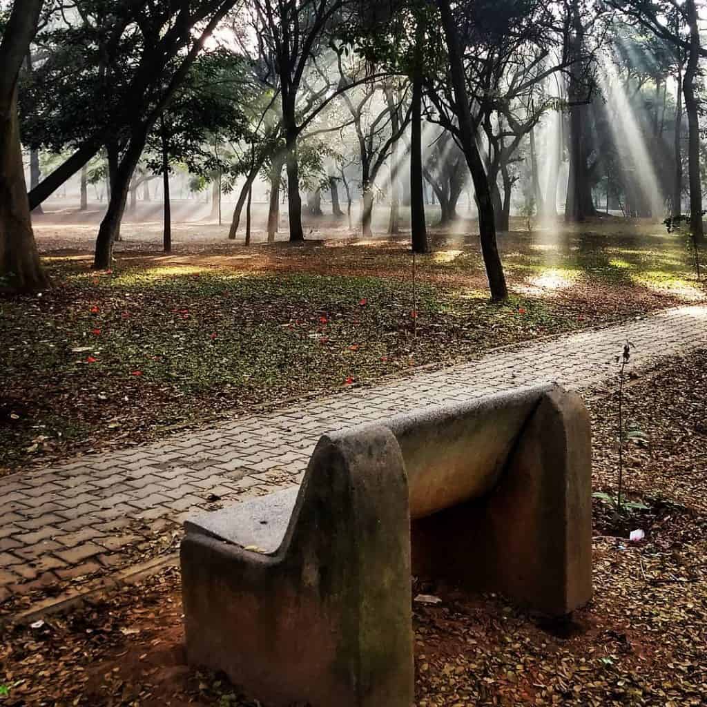 Sunlight streaming through Cubbon Park and an empty bench in the foreground