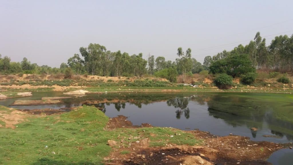 A half-dried up lake in Bengaluru. 