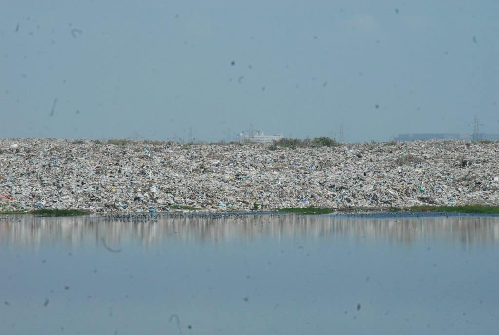 pallikaranai marshland affected by perungudi dumpyard