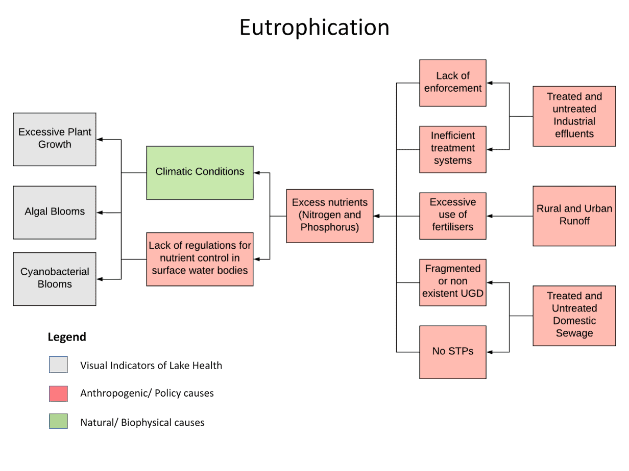 lake-eutrophication-system-map-atree