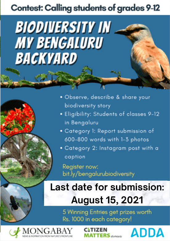 Biodiversity in my Bengaluru Backyard - contest poster