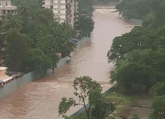 Flooding in the Sanjay Gandhi National Park