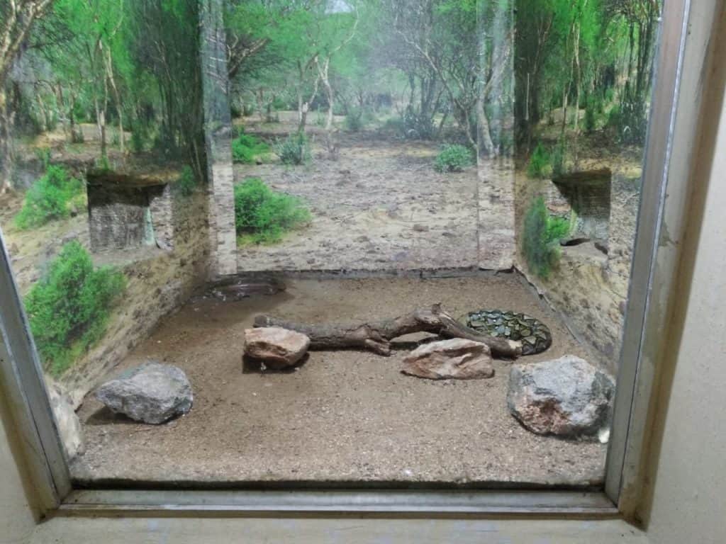 Snake enclosure, snake park