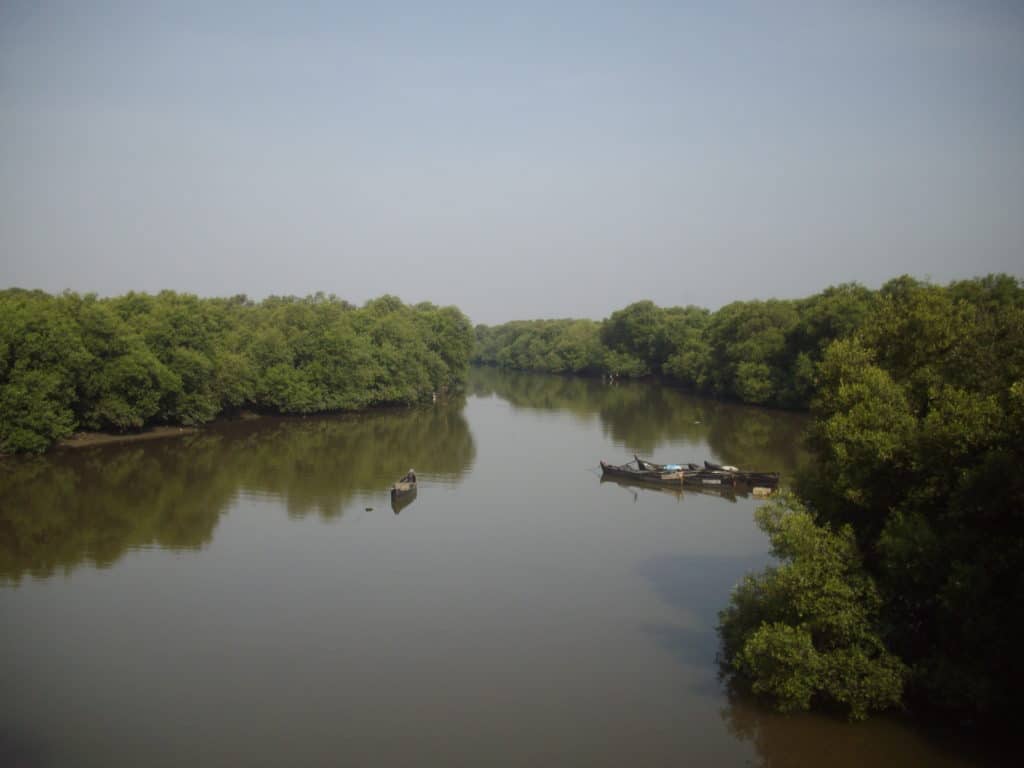 Vashi Creek and the Mangrove forests