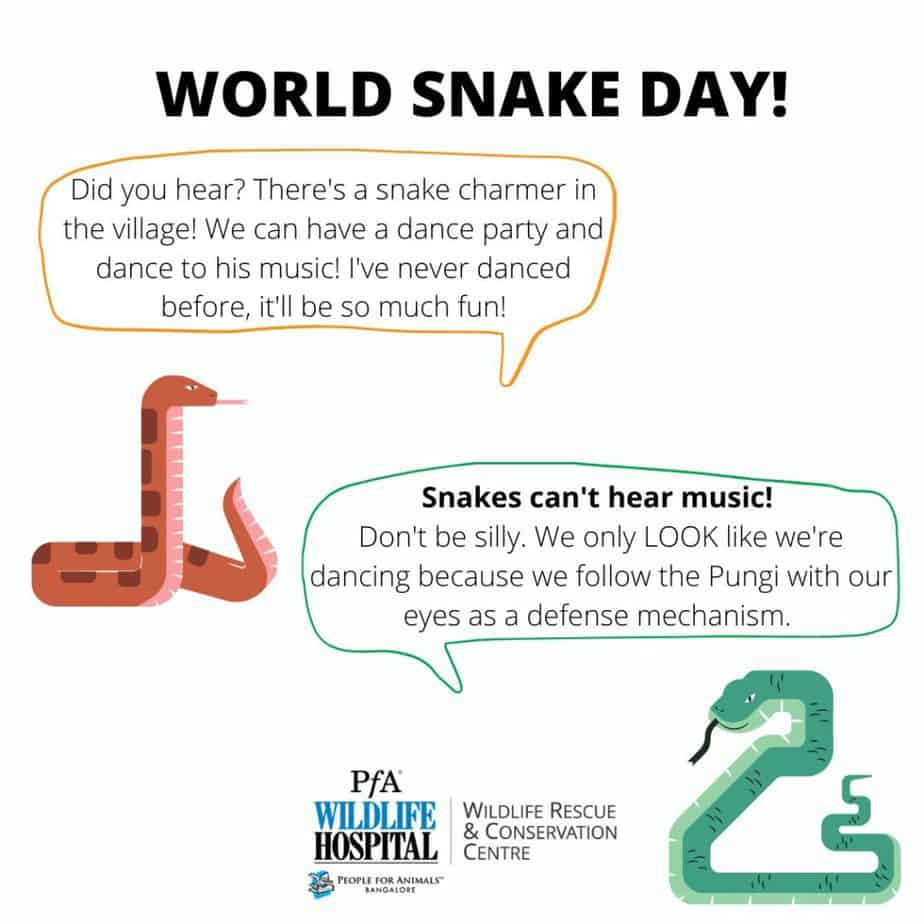 Snake myths poster  1