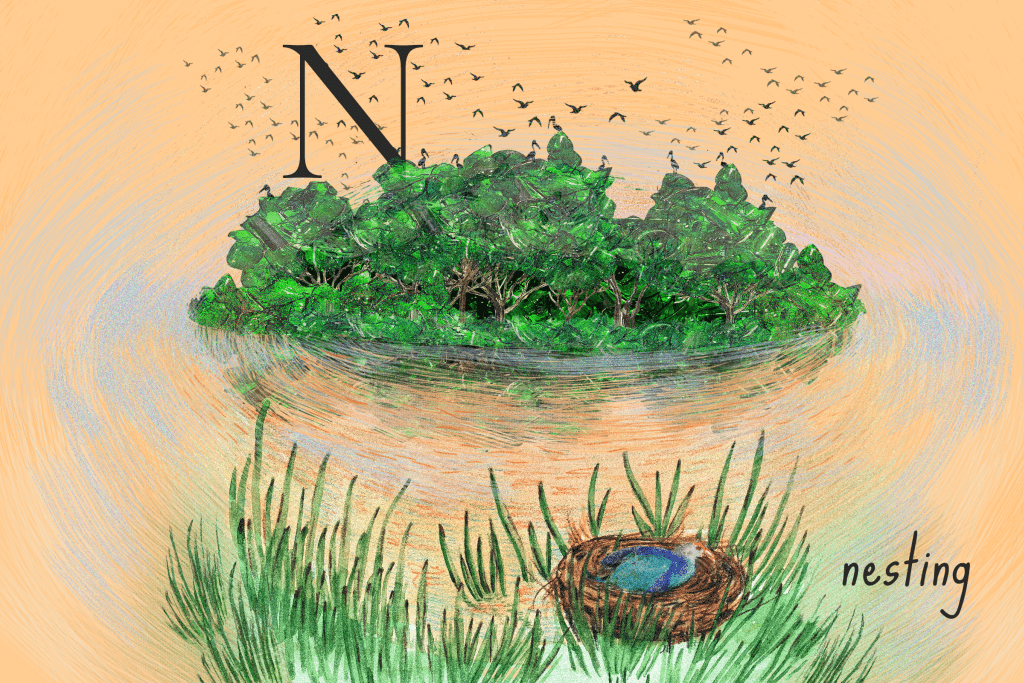 nesting in lakes