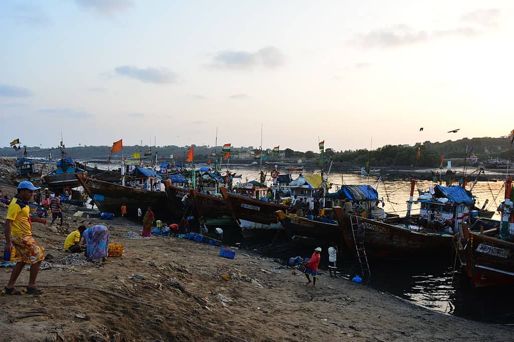 a fishing harbour in mumbai. fishing ports are under threat by active construction in the city