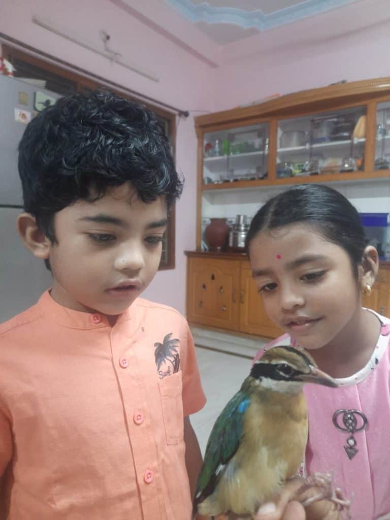 Two kids holding a rescued Pitta 