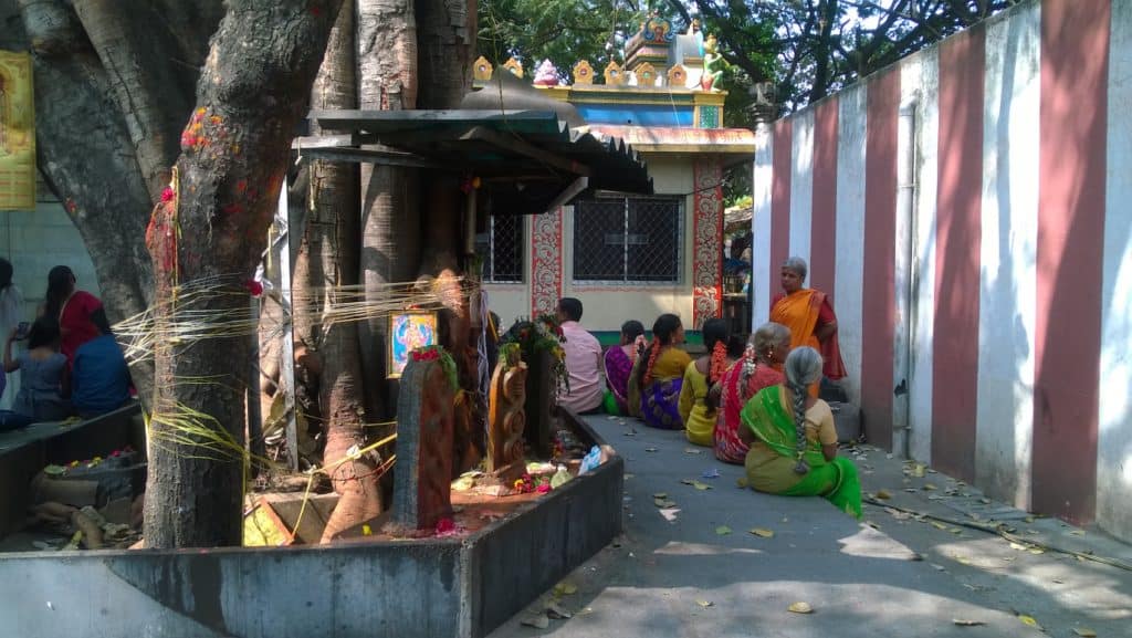 People congregating under the ashwath katte at Sirsi Circle