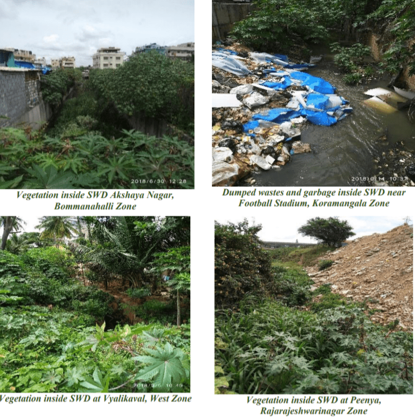 Bengaluru vegetation blocking drains
