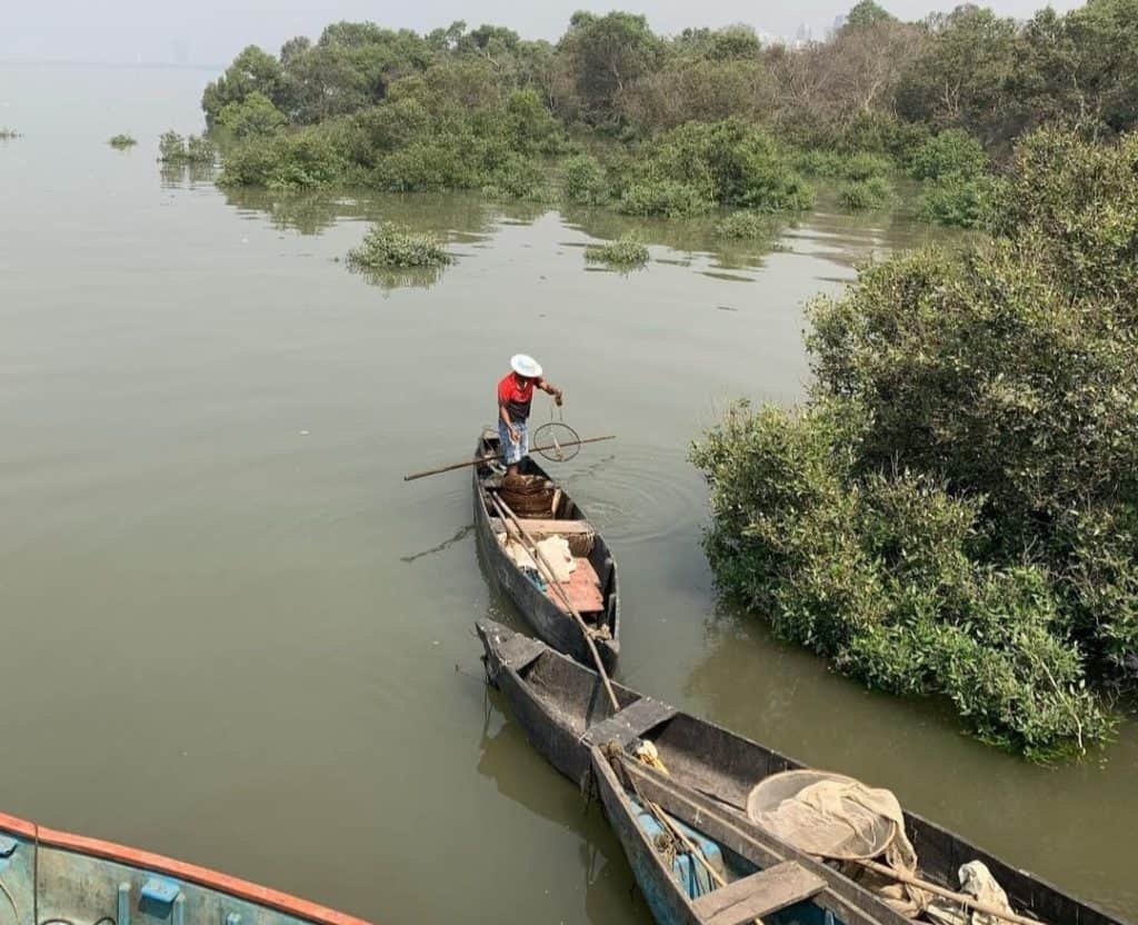 fisherman using a boat to get around Navi Mumbai's mangroves