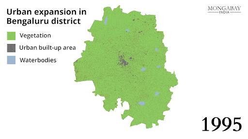 Urbanisation of Bengaluru from 1995-2020, reducing vegetation and waterbodies