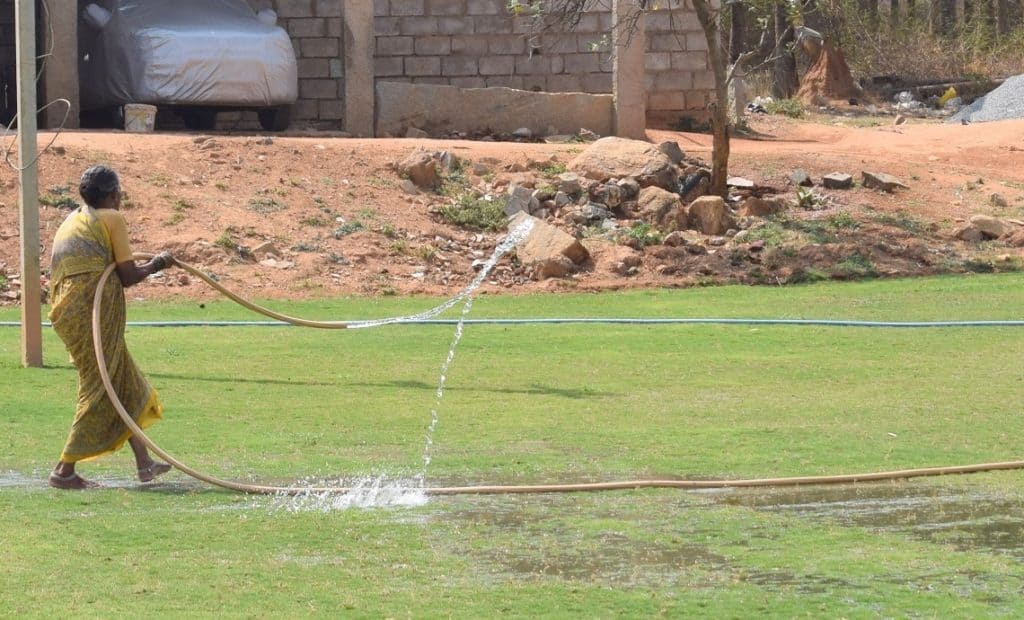 A woman watering a lawn that's being cultivated
