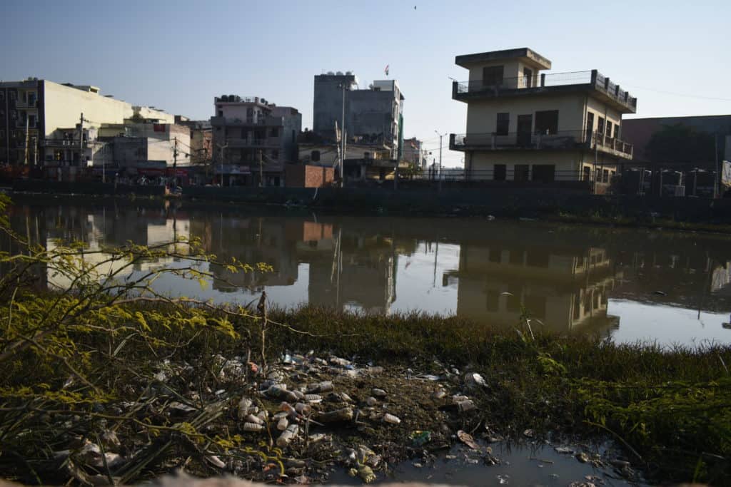 Stagnant pond in Aya Nagar choked with sewage and waste