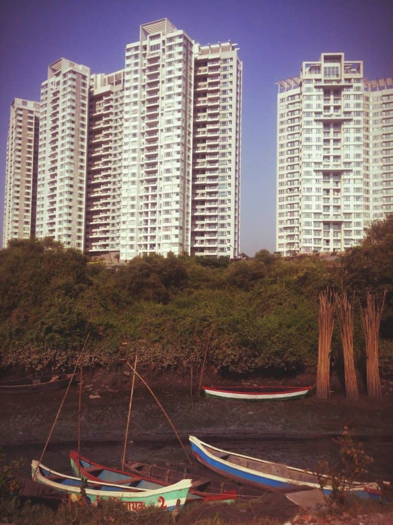part of a mangrove in Mumbai, against the buildings and constructions