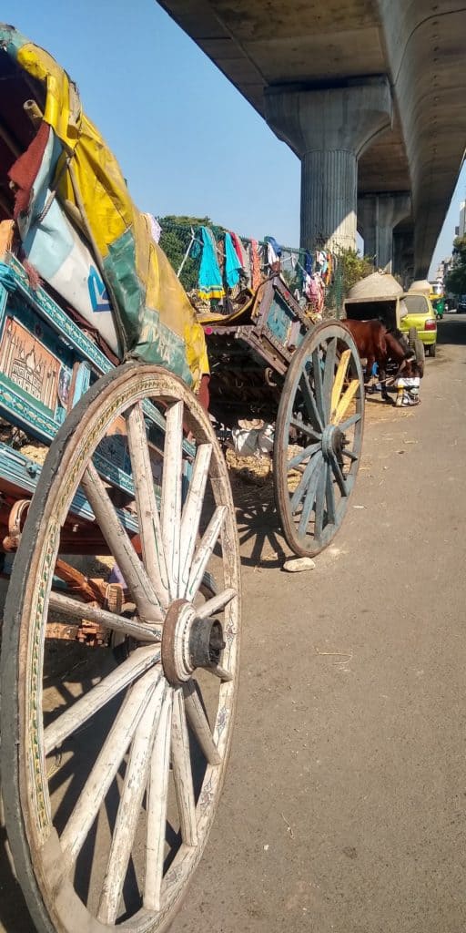 Horse Carts parked along Malleshwaram 8th main