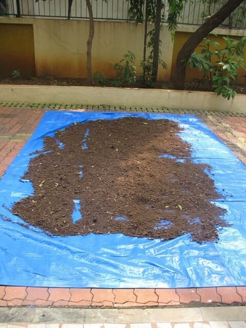 Compost being put out to dry on a plastic sheet