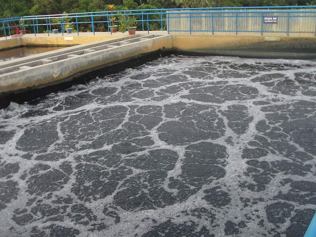 The treatment process of wastewater in a STP