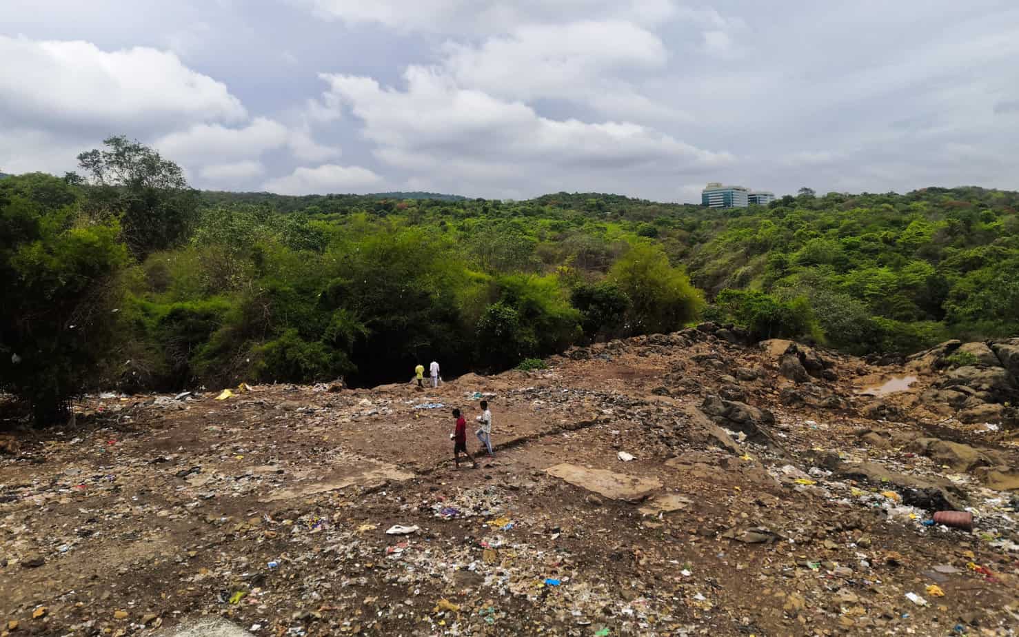 A view of the beginnings of the forest of Sanjay Gandhi National Park, where the empty land meets the thicket