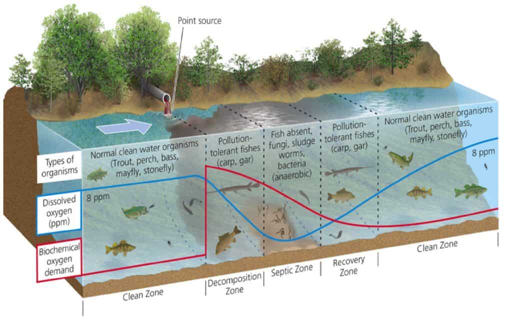 Diagram illustrating DO levels along the length of the lake