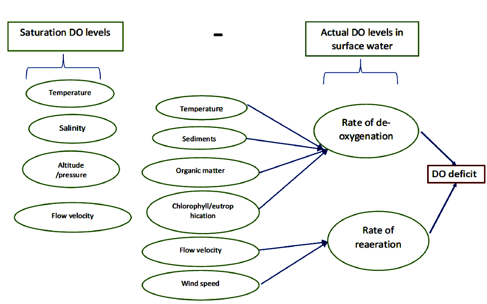 Diagram explaining Saturation DO vs actual DO