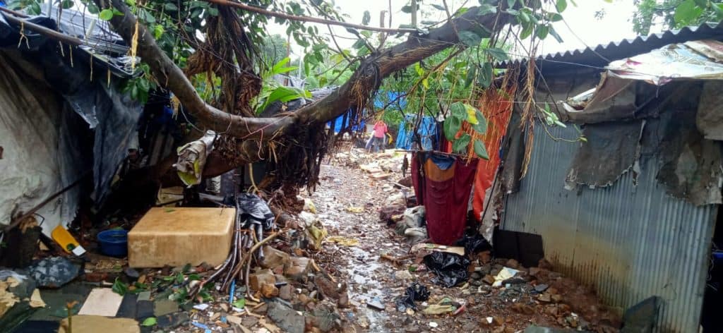 A lane between hutments in an informal settlement with a tree hanging above