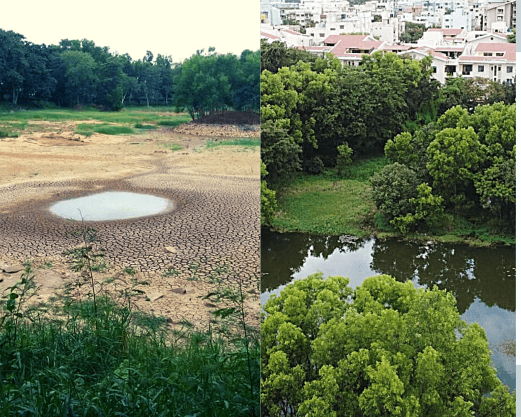 From a puddle of water amidst a dry patch of land to lush greenery with water 