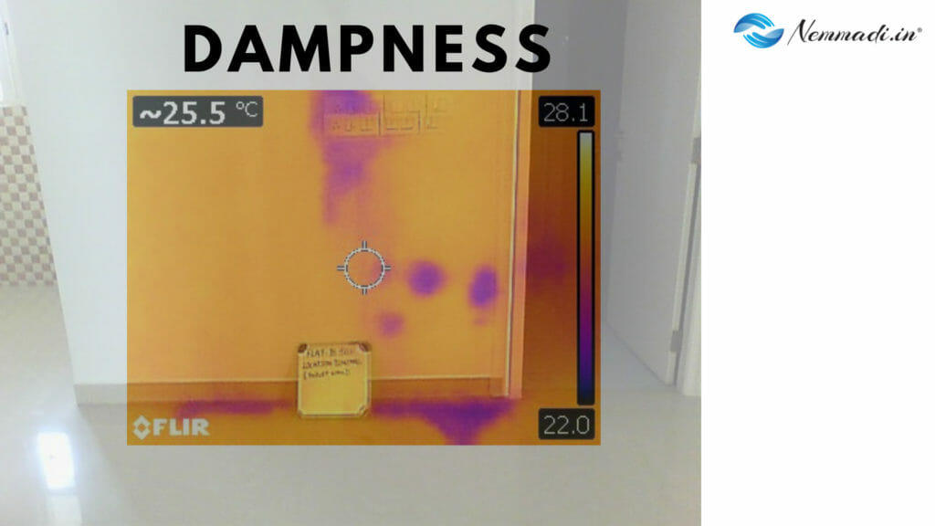 Thermal image showing dampness