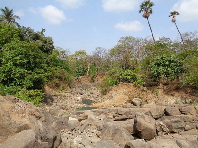 The river bed at Vihar lake is dry