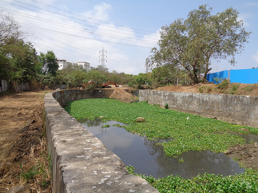Retaining walls along the Mithi river