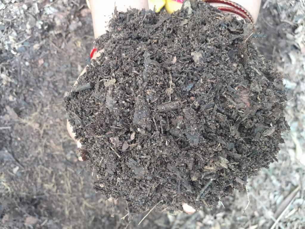 compost mixed in soil