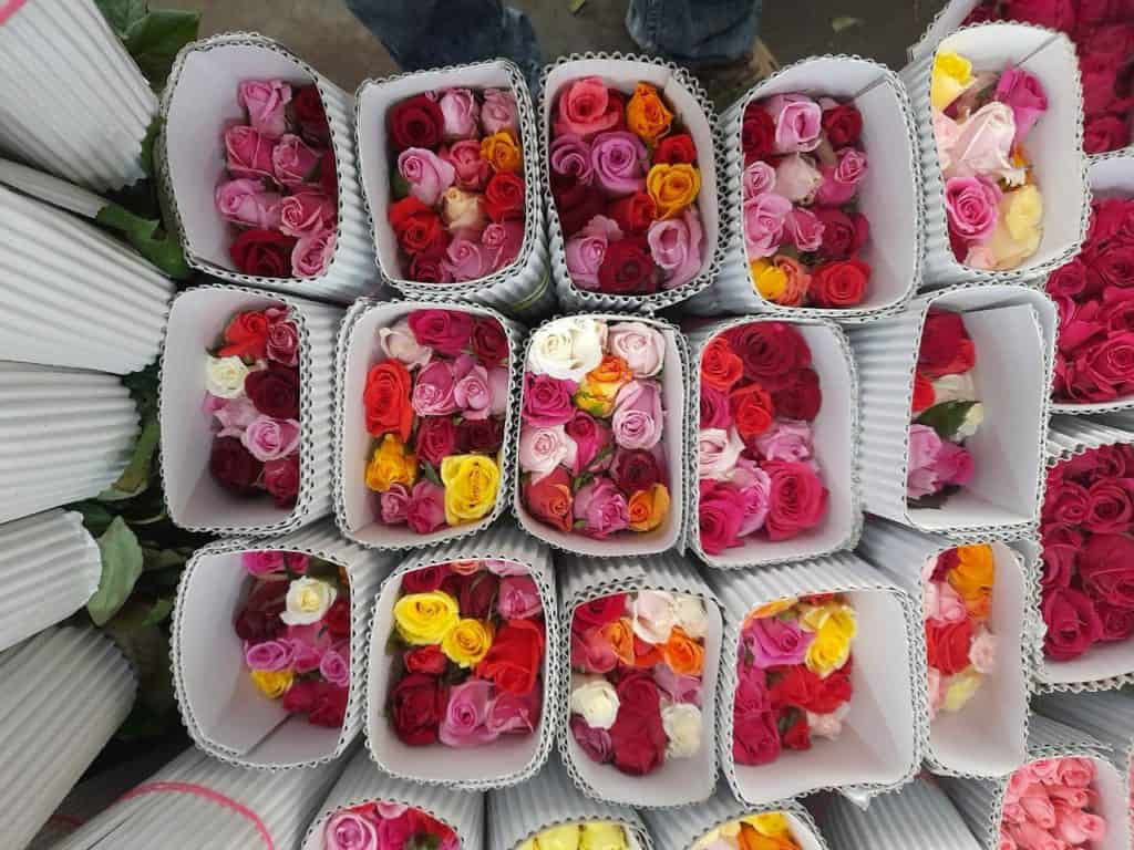 Bunch of roses ready to be shipped out at the International Flower Auction held in Hebbal, Bengaluru