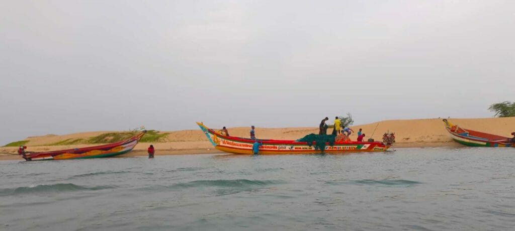 Fishermen get off their boats after fishing in Pulicat lake