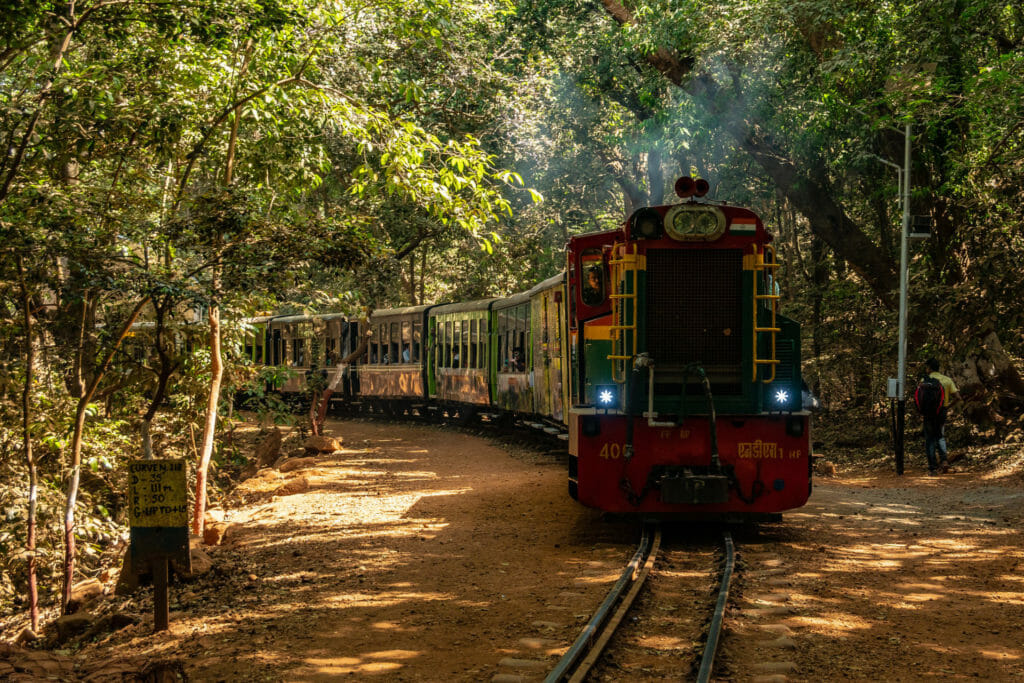 The Matheran-Neral toy train approaching in a forest