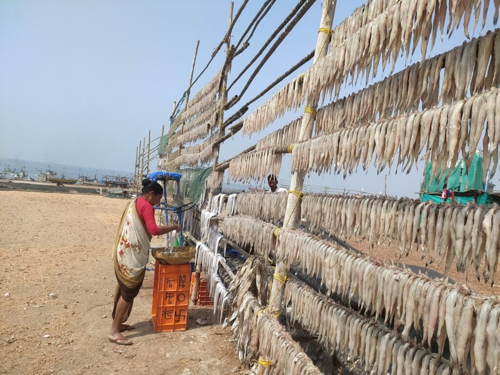 woman drying fish by the beach