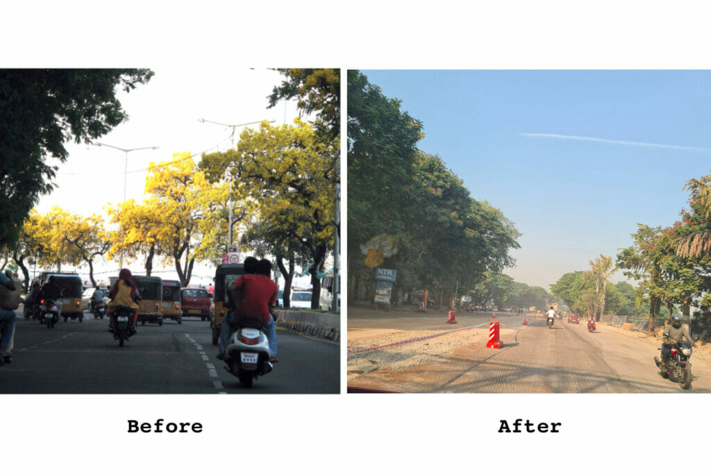 Before-after scenarios on NTR Marg; image on left shows the beautiful blooming Tabebuia aurea and the one on the right shows a view of the barren streets after the trees were cut.