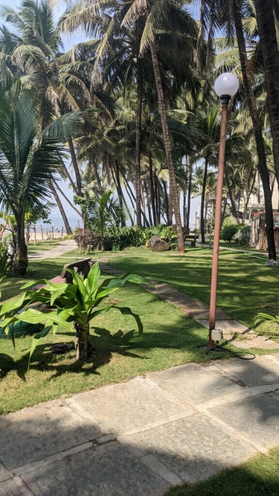 Garden by the beach maintained through efforts of the Advanced Locality Management