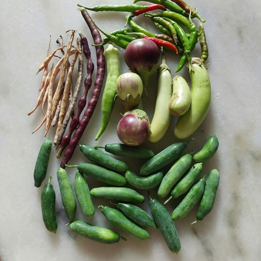 produce from terrace garden
