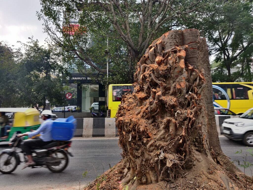 Tree felling excercise underway to widen Bellary Road, Bengaluru. 