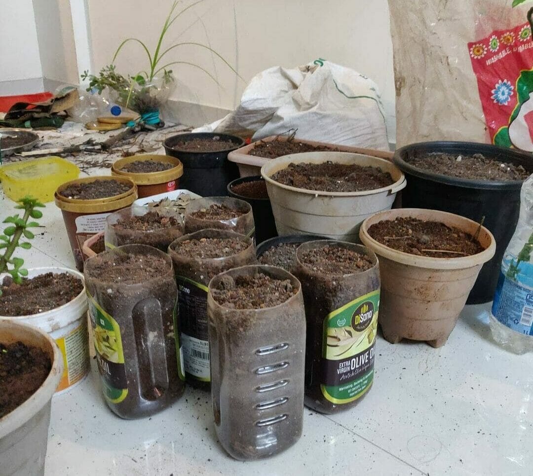 Repurposed containers with soil for permaculture
