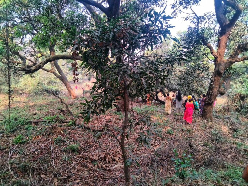 Women walking amidst trees