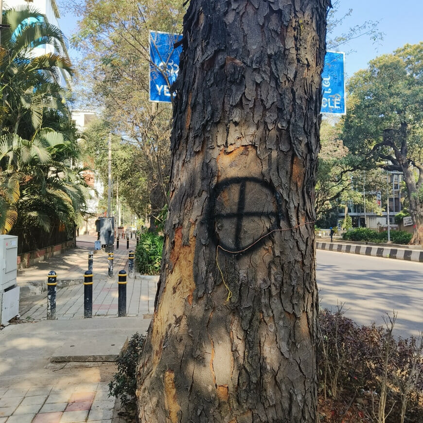 A tree marked by BBMP in Bengaluru. 