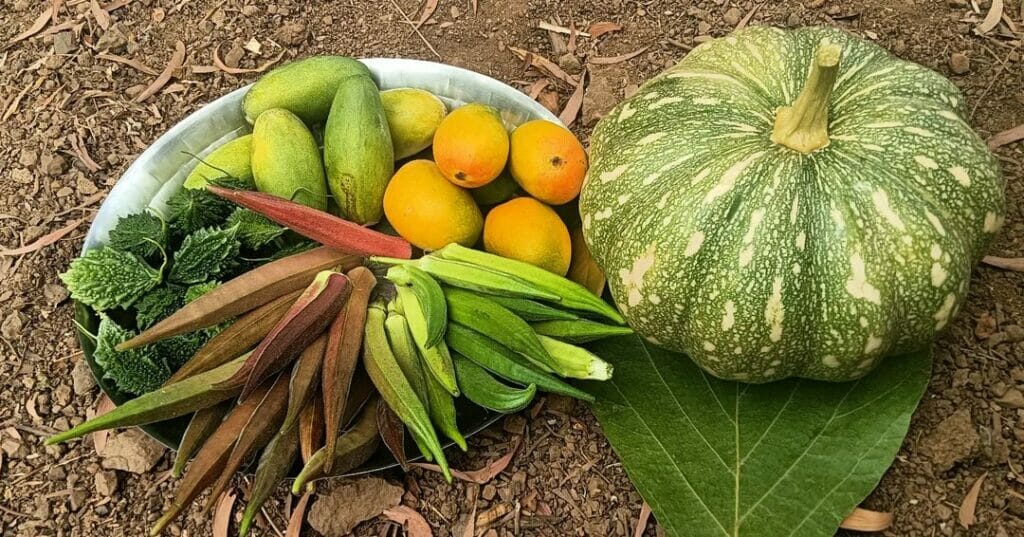 Vegetables and fruits from an Adivasi Warli farm