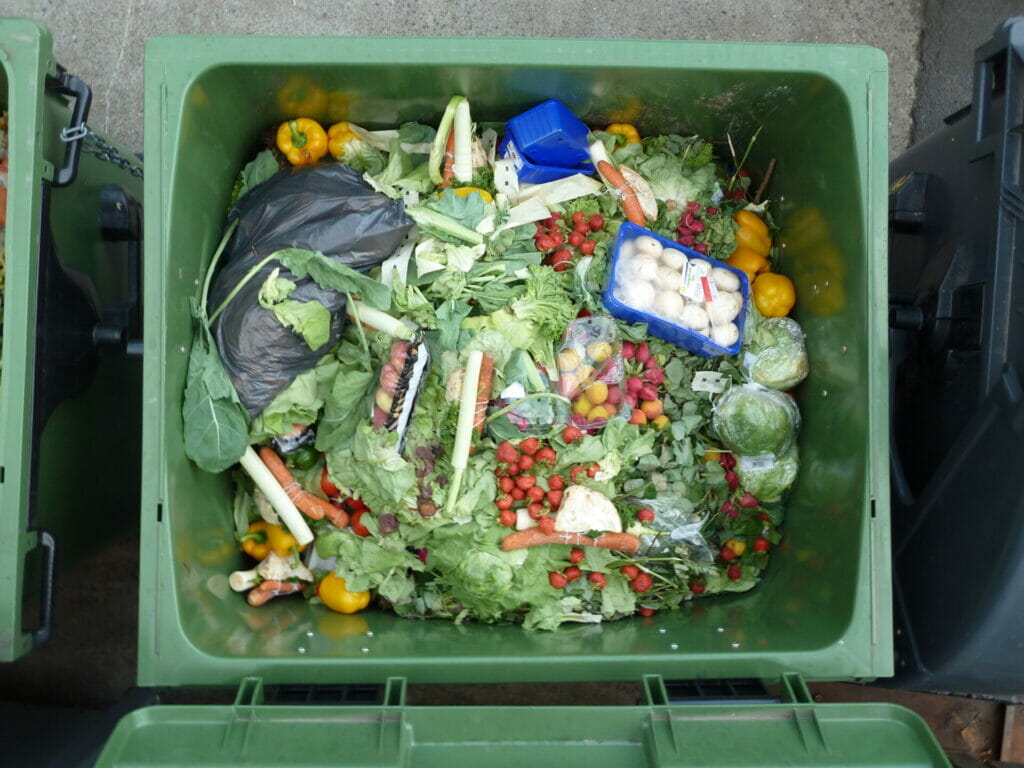 garbage bin showing discarded fruits and vegetables 