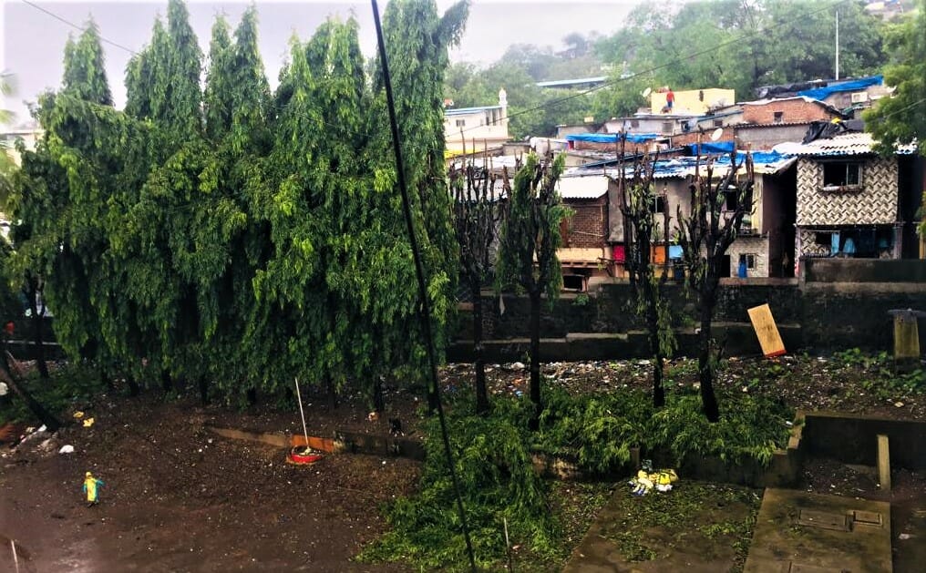 Overgrown tree branches being cut at a residential society in Ghatkopar to prevent accidents 