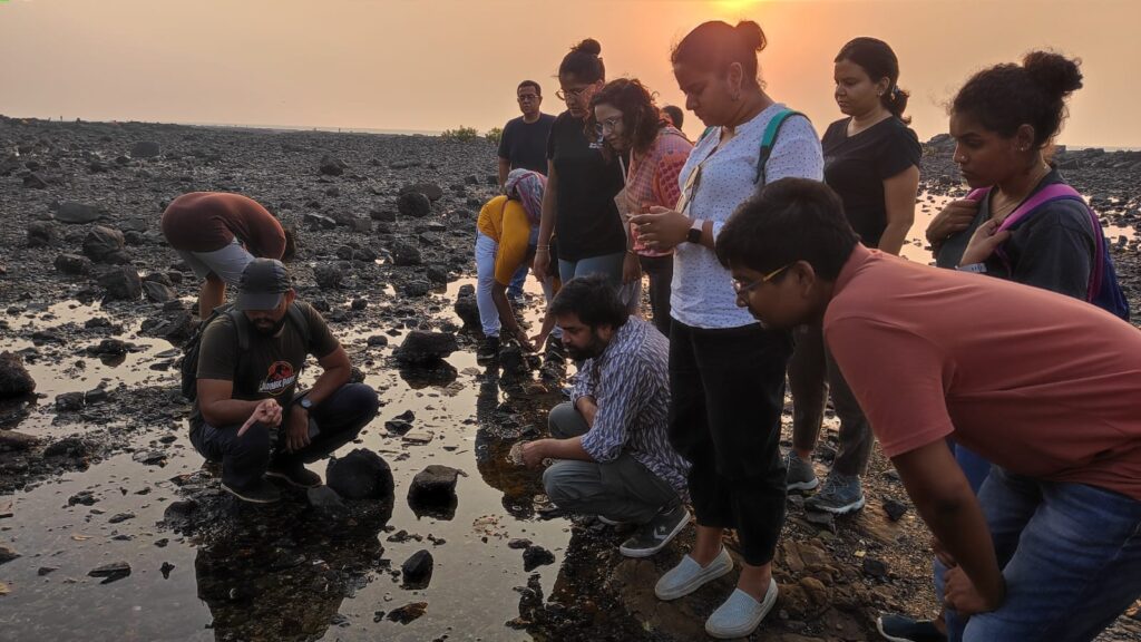 A tide pooling session on one of Mumbai's rocky shores. Pic: MLOM photobank