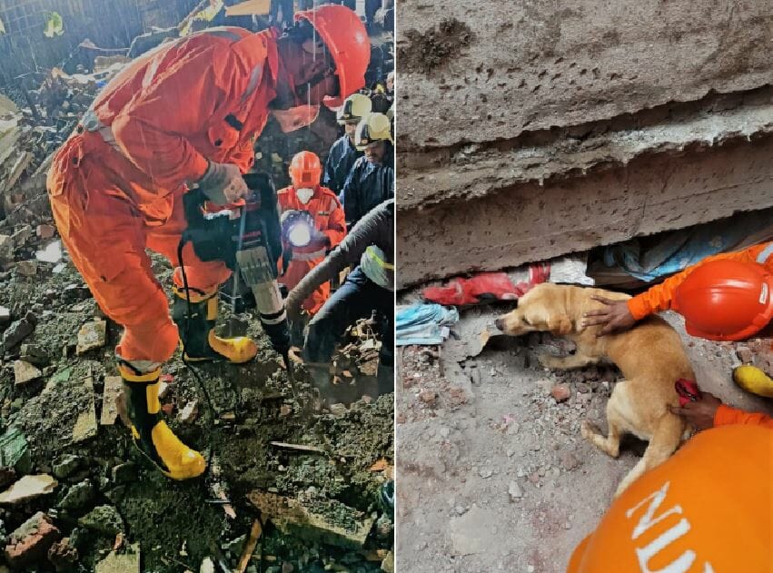 NDRF team drilling through debris and deploying sniffer dogs to rescue victims of a building collapse 