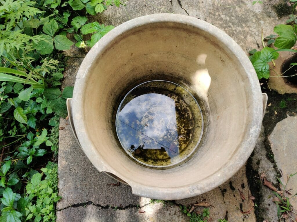 Bucket with collected rainwater