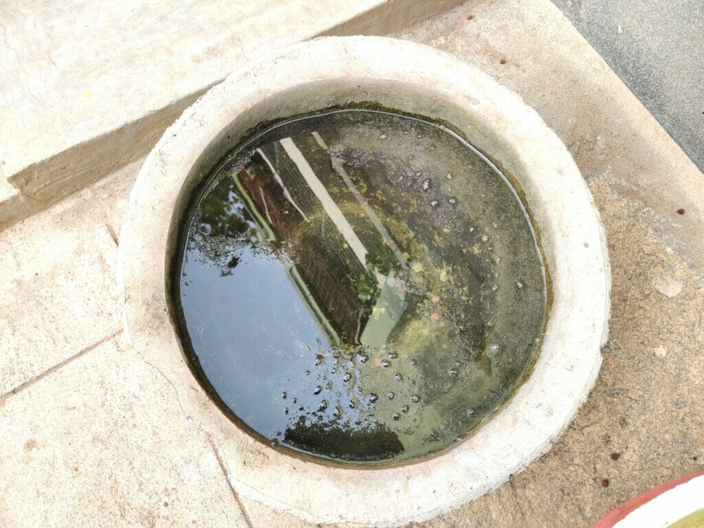 Unemptied water bowl outside a house