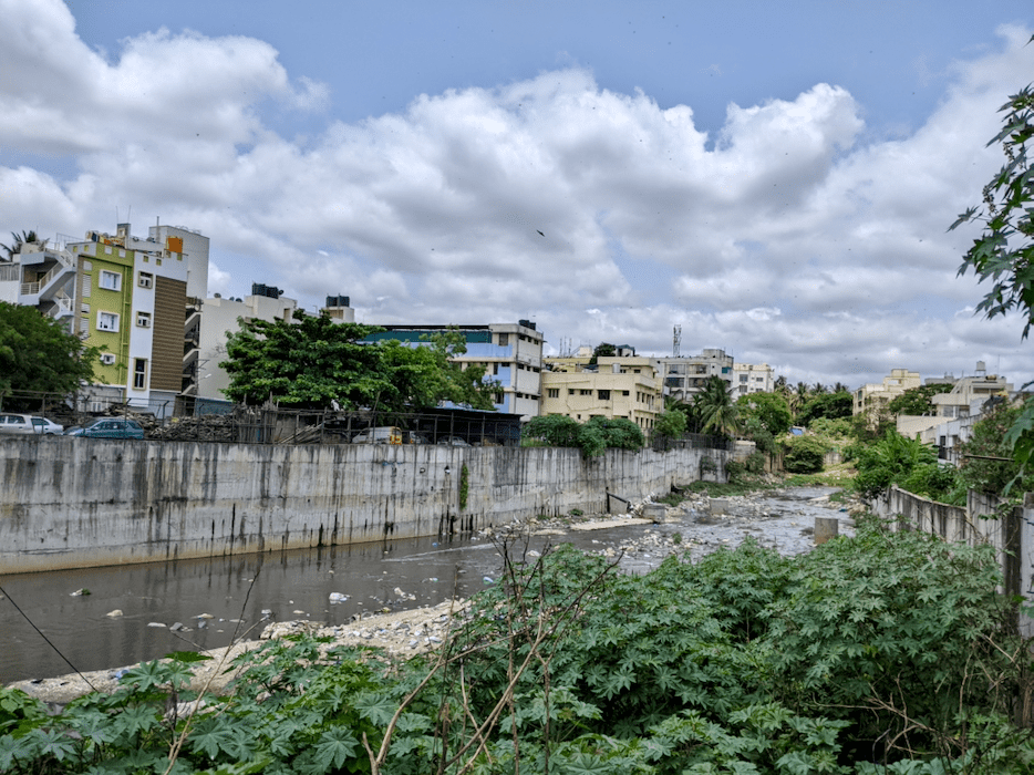 Sewage mixed water flowing in Nagarbhavi torai - a major drain into Vrishabhavathi river